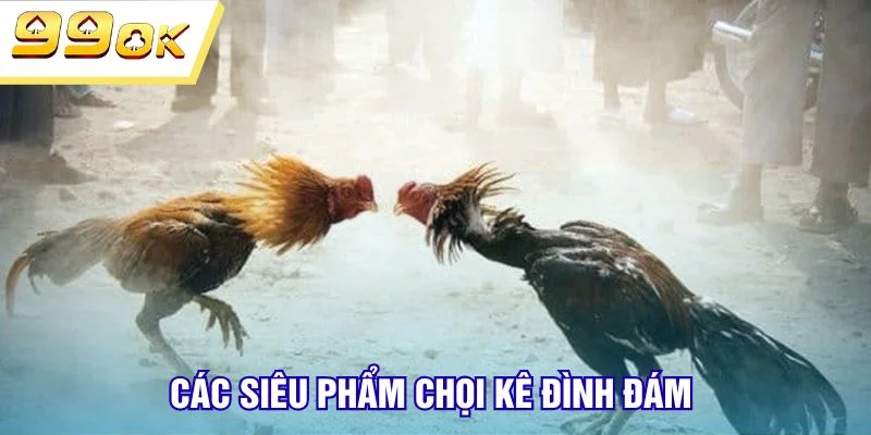 Các siêu phẩm chọi kê đình đám