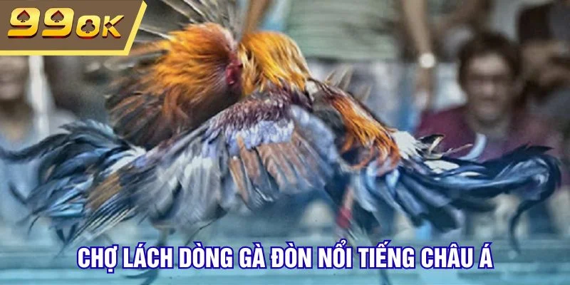 Chợ lách dòng gà đòn nổi tiếng Châu Á