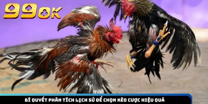 Bí quyết phân tích lịch sử để chọn kèo cược hiệu quả