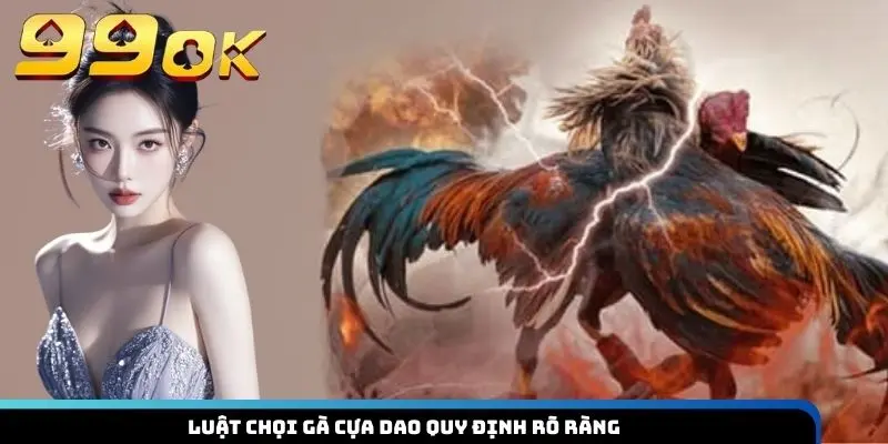 Luật chọi gà cựa dao quy định rõ ràng