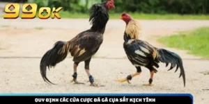 Quy định các cửa cược đá gà cựa sắt kịch tính