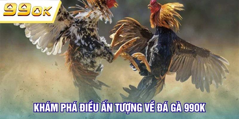 Khám phá điều ấn tượng về đá gà 99OK