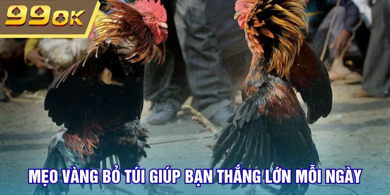 Mẹo vàng bỏ túi giúp bạn thắng lớn mỗi ngày